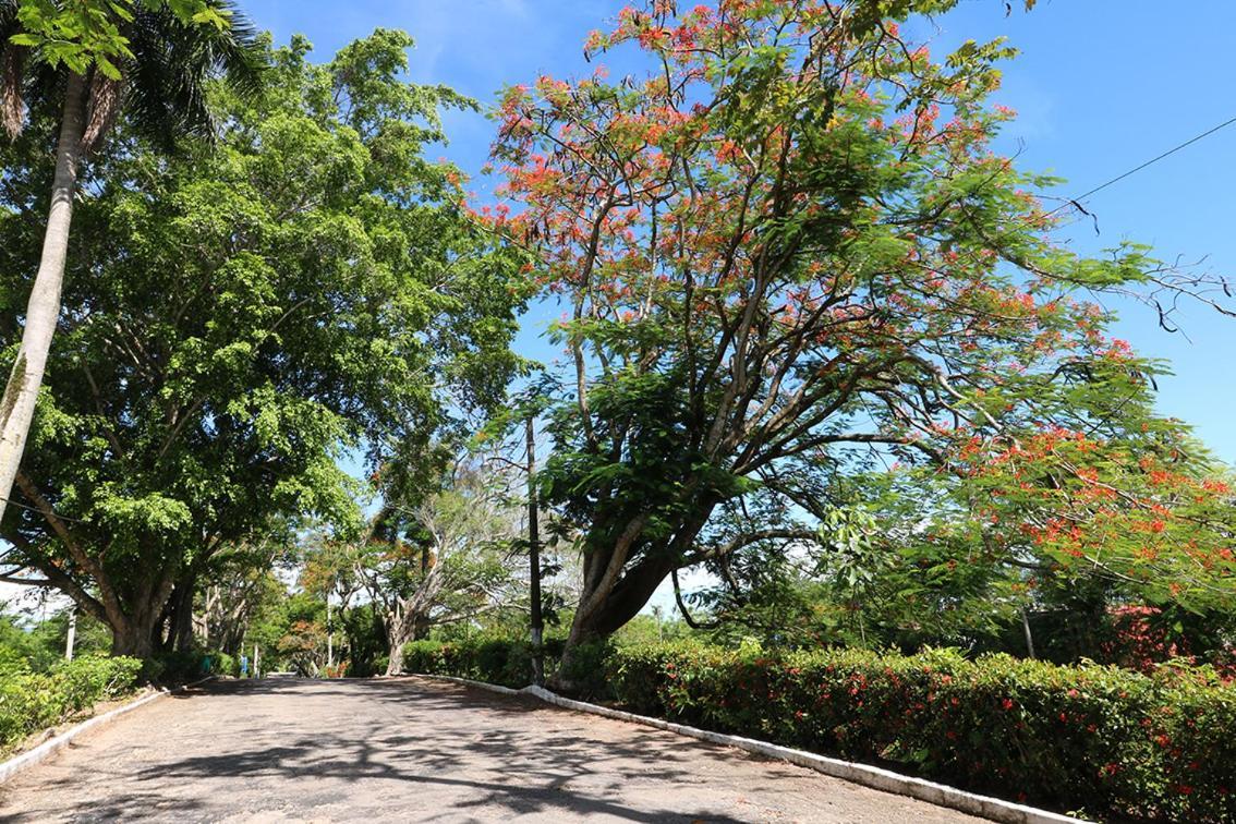 Mision Palenque Hotel Exterior photo