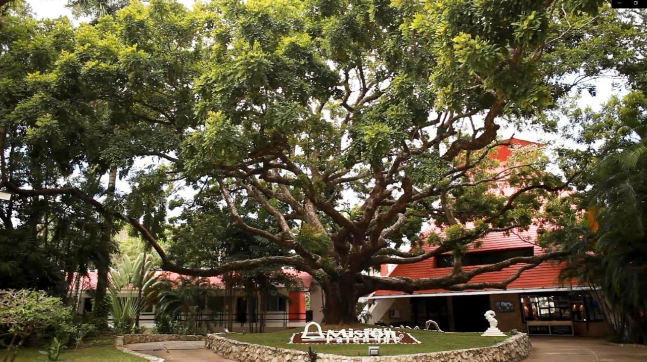 Mision Palenque Hotel Exterior photo