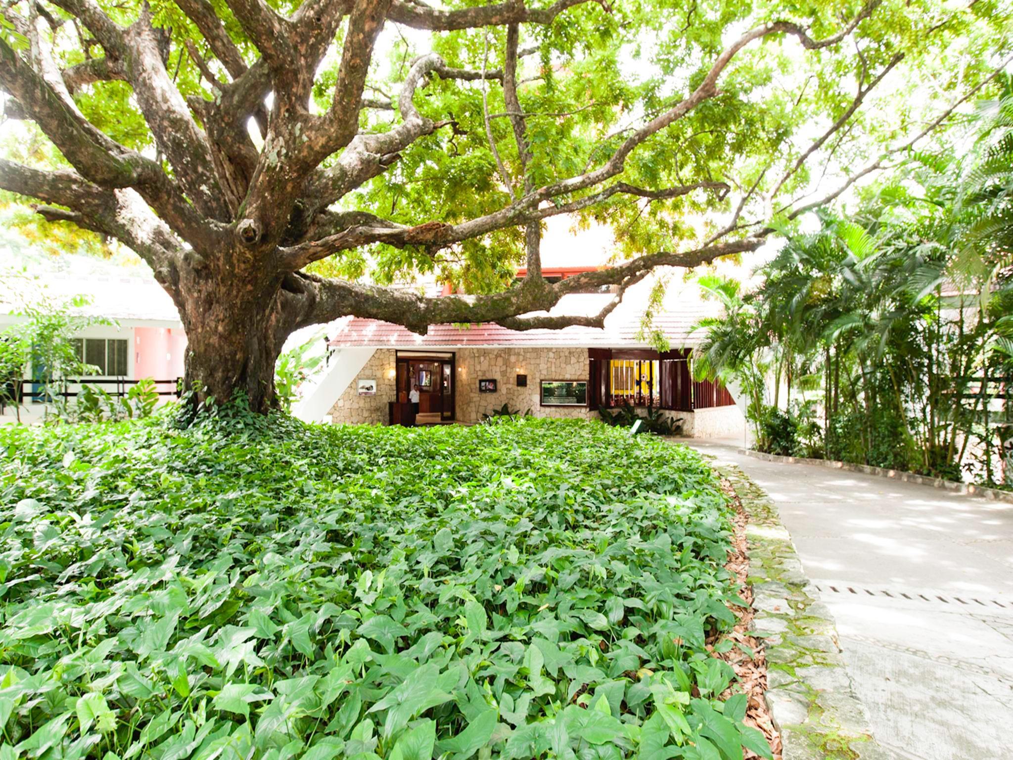 Mision Palenque Hotel Exterior photo